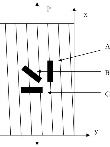 Figure 3.1b: Rectangular rosette 