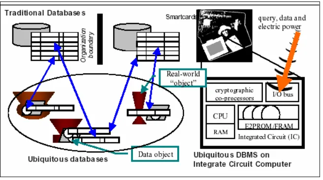 Figure 2.1 :  Concept of Ubiquitous Database on the Smart Card 