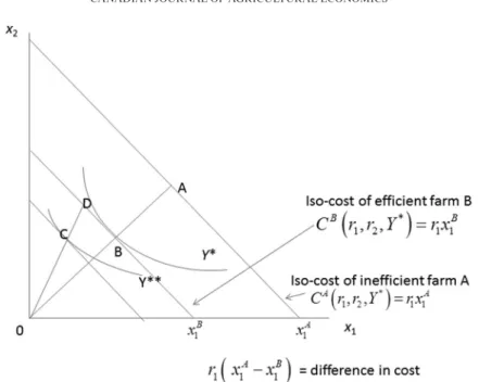 Figure 1. Technical efficiency and cost of production