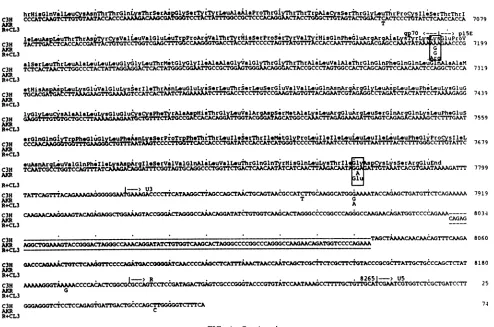 FIG. 4-Continued.