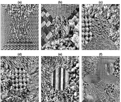 Figure 1. Six composite texture images. (a-e) Texture arrangements with ﬁve textures. (f) Texturearrangement with sixteen textures