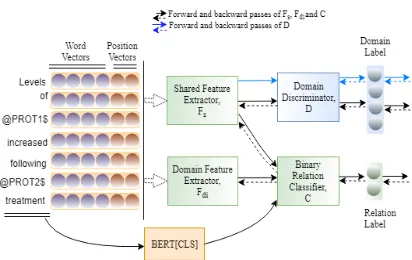 Figure 1: MAN for Domain Adaptation of Binary Rela-tion Classiﬁcation. The ﬁgure shows the training ﬂowgiven a sentence from a labeled source domain