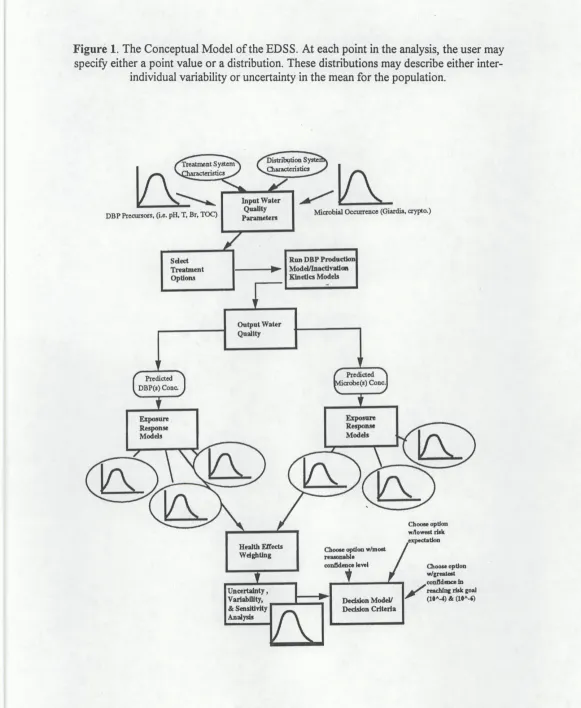 Figure 1. The Conceptual Model of the EDSS. At each point in the analysis, the user may specify either a point value or a distribution