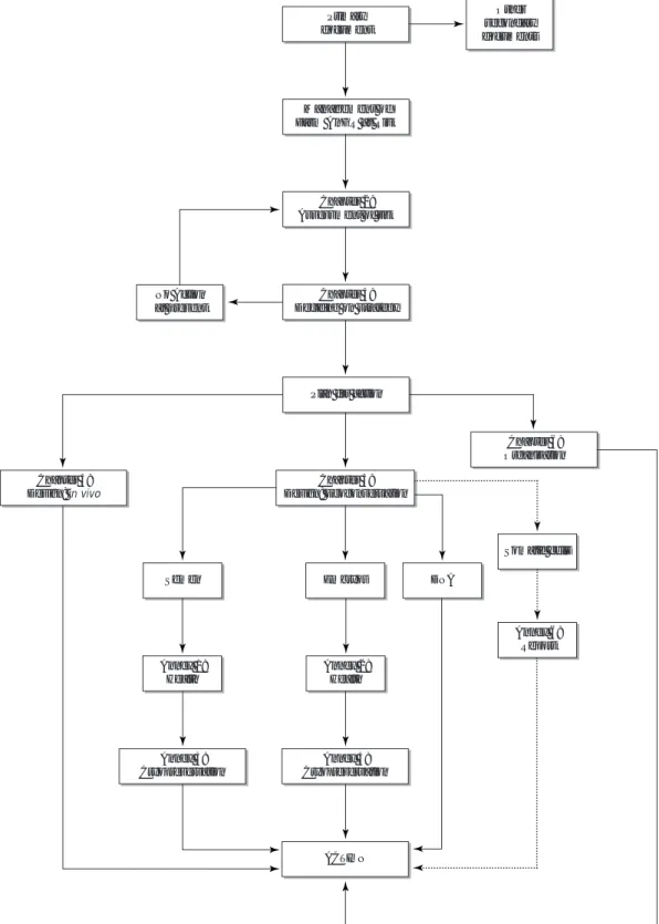 Figure 1.1:  The structure of the guidelines