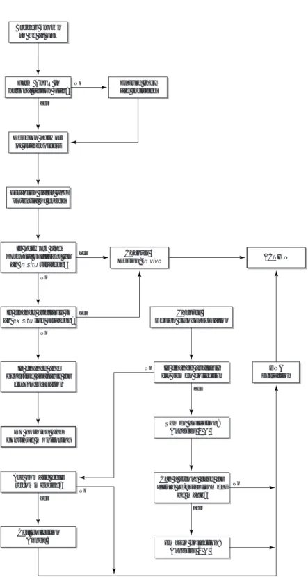 Figure 3.1:  Considering the options