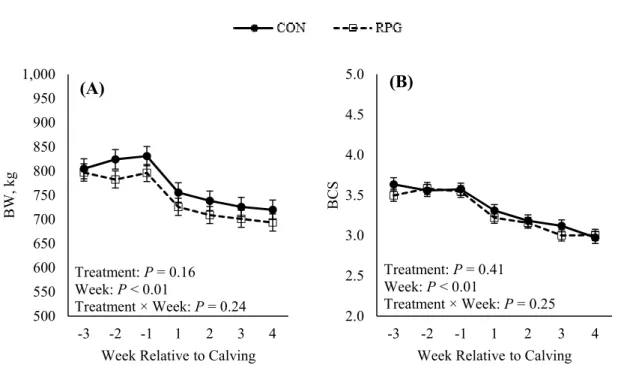 Figure 3. Effects of rumen-protected glucose on (A) BW and (B) BCS. Treatments: CON =  control diet and RPG = rumen-protected glucose diet