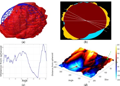 Figure 7.Figure 7. Nuclear envelope (NE) surface modelling against a spheroid. (a) Rendering of the nuclear envelope (NE) (red surface) against the model spheroid (blue mesh)