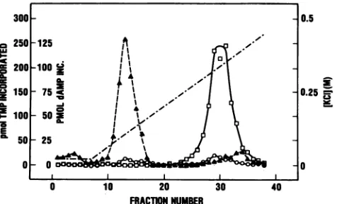 TABLE 1. Effects of the addition of 0.15 M NaCl on theactivities of HeLa DNA primase and freshly
