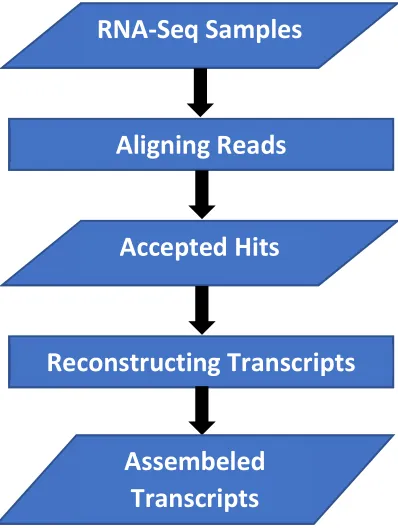 Figure 3.1: Preprocessing pipeline for each sample in the data set.