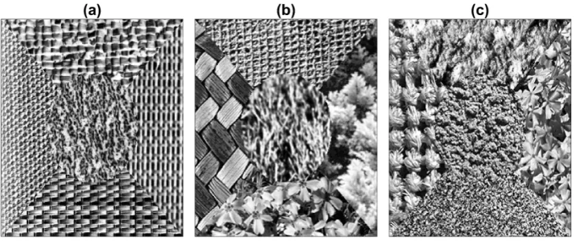 Figure 1. Cont.