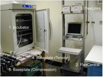 Figure 5.  Flexcell Culture System 