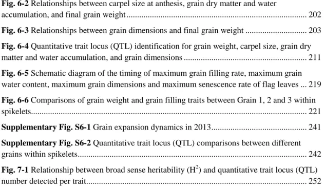 Fig. 6-2 Relationships between carpel size at anthesis, grain dry matter and water 