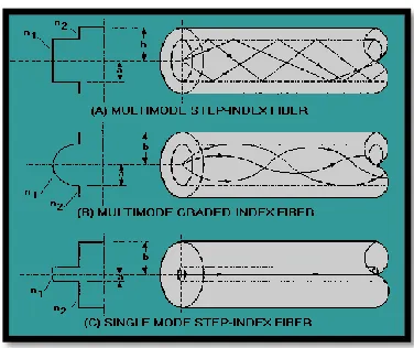 Figure 2.1b: Different categories of fiber optics.  