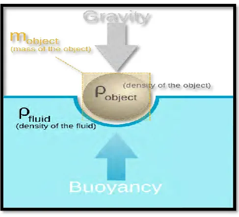 Figure 1.0: Buoyancy 