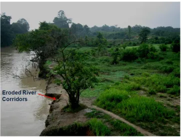 Figure 1.1: Typical Johore River Corridor. 