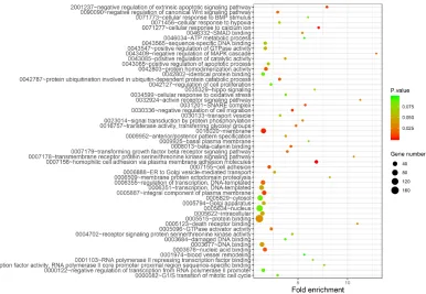 Figure 5. KEGG pathway analysis of 2-miRNA signature target genes.