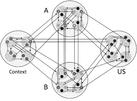 Figure 4. The elemental structure of the model as a connectionist network. Each stimulus (A, B, …, 