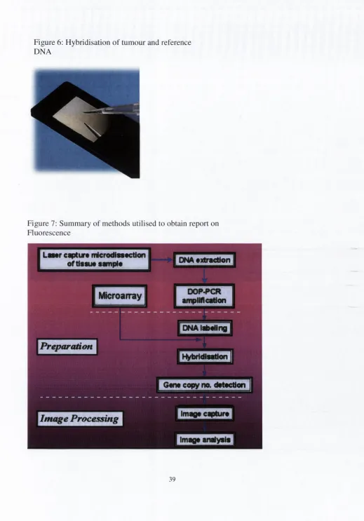 Figure 6: Hybridisation of tumour and reference 