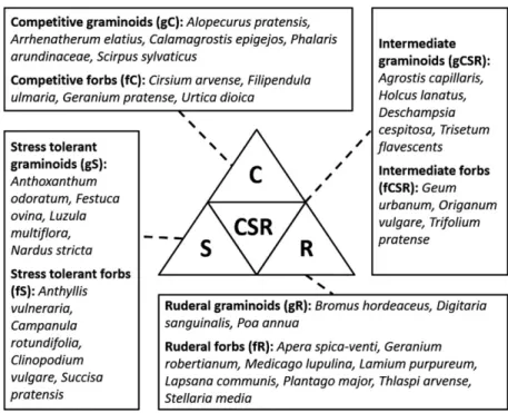 Figure 1. PFT scheme and respective species cultivated to derive the trait data. PFT, plant functional types.