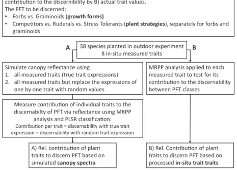 Figure 2. Simplified workflow of this study.