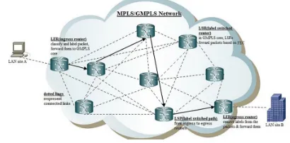 FIGURE 1. MPLS/GMPLS Network