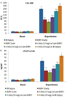 Figure 1. Influence of early and late phases of remote preconditioning (RIPC) along with 3-methyladenine (3-MA) on ischemia-reperfusion (IR)-induced (A) CK-MB levels (B) cTnT levels