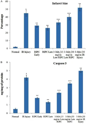 Figure 2. Influence of early and late phases of remote preconditioning (RIPC) along with 3-methyladenine (3-MA) on ischemia-reperfusion (IR)-induced (A) myocardial infarction (B) caspase 3 activity