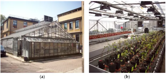 Figure 1. (a) Greenhouse external structure; and (b) disposition of counters, pots, lighting and cooling  systems