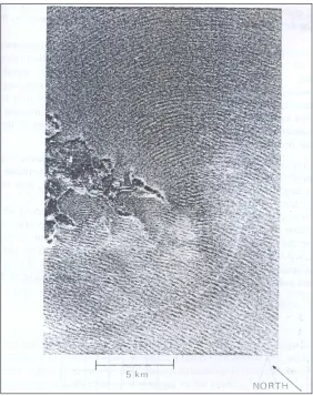 Figure 2.6: SAR image of waves diffracting (Tucker, 1991).  