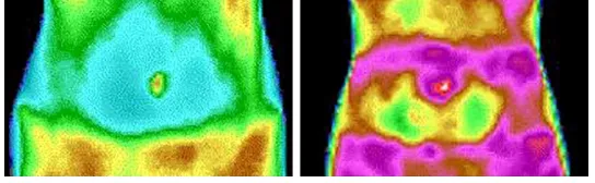 Figure 4. Positive sample image (left) and negative sample image (right).