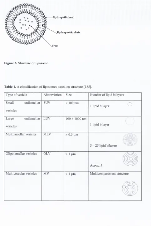 Figure 6. Structure of liposome.