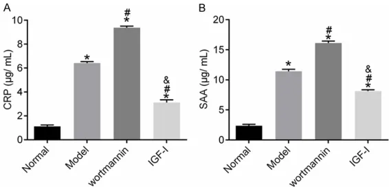Figure 4. Levels of serum CRP and SAA of mice in each group. A. Serum CRP level in mice