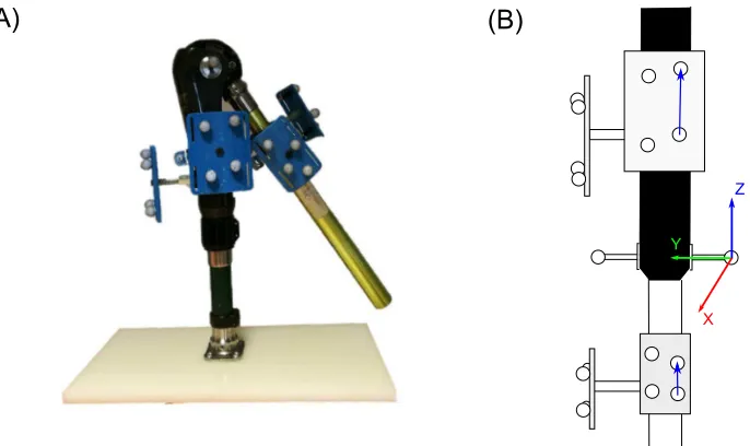 Fig 1. The mechanical linkage with a hinge joint. (A) The proximal segment was mounted on stand and remainedstatic during movement while the distal segment was rotated manually about the joint