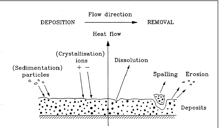 Figure 3: Heat transfer surface.