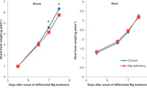 Figure 10: Effect of Mg nutrition on shoot and root fresh weights of maize. Control (blue) nutrient  solution with 500 μM Mg, Mg deficiency (red) with 25 μM; means (n = 4) ± SE