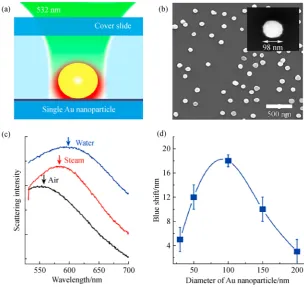 Fig. 1(a) Schematic showing illumination and plasmonic heating of an individual Au nanoparticle on the transparent glass substrateﬂoor of our ﬂuidic microchamber; (b) Scanning electron microscope (SEM) images of a sample with a dense coverage of Au nanopar