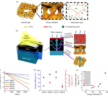 Fig. 5(a) The hierarchically nanostructured gel (HNG) consists of hierarchical porous structures, including internal gaps, micron