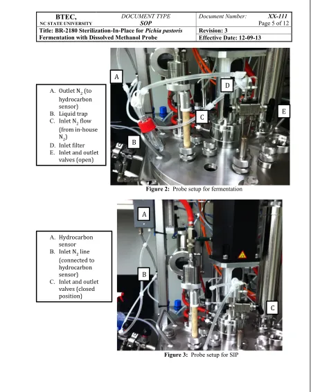 Figure 2:  Probe setup for fermentation 