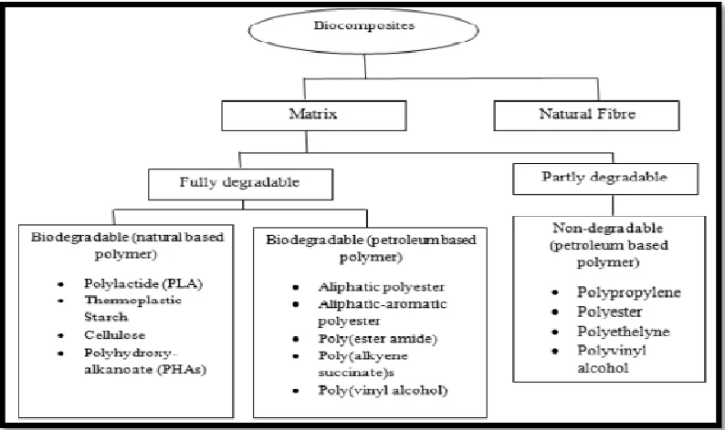 Figure 2.2: Biodegradable composite (Sahari & Sapuan, 2011) 