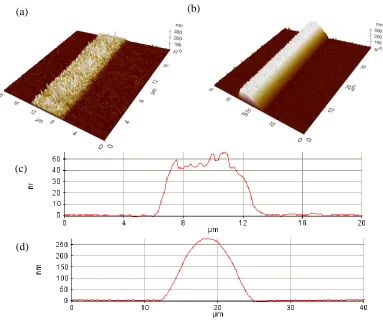 Figure 3.13 (a) Printed single layer silver track, (b) Printed multi-layers silver track, (c) 