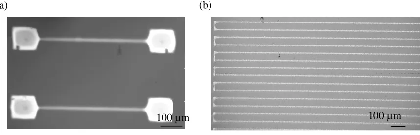 Figure 3.19 Printed electronic components: (a) printed metal pads and interconnects (b) an 