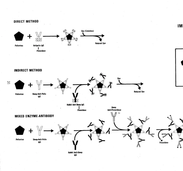 FIGURE DIRECT METHOD 5-1 