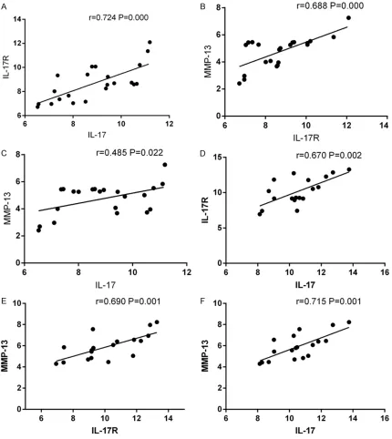Figure 2. Correlation between IL-17, IL-17R, and MMP-13 expression levels in patients with proliferative lesions and caseous necrotic lesions
