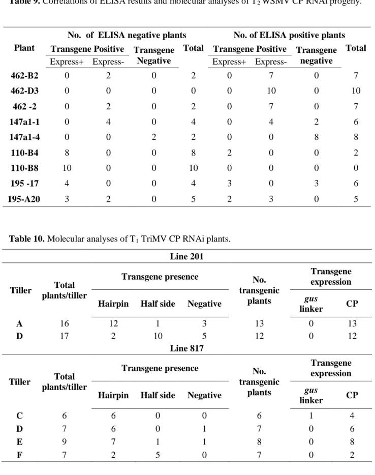 Table 10. Molecular analyses of T 1  TriMV CP RNAi plants. 