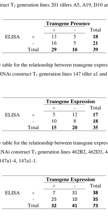 Table 19. Contingency table for the relationship between transgene expression and virus 