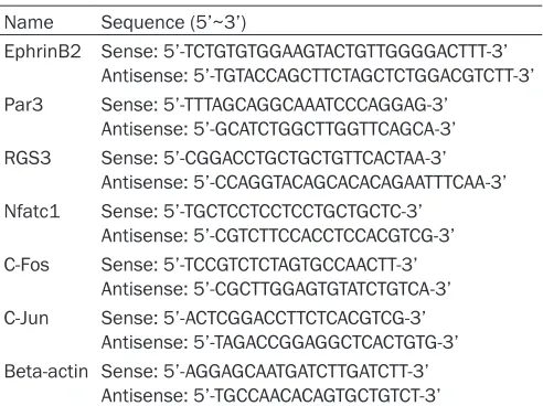 Table 1. Primer for real-time RT-PCR
