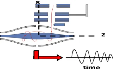 Figure 1.3 Schematic of a Quadrupole Orbitrap High Field Mass Spectrometer 