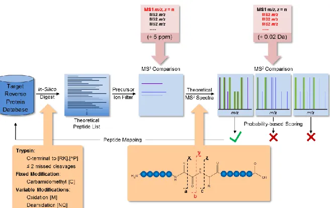 Figure 1.9 Bioinformatics for Bottom-up Proteomic Data  