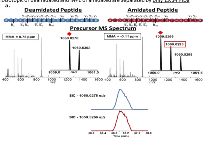 Figure 1.11 False Identification of Deamidated Peptides 