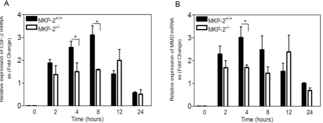 Figure 2.MKP-2 deletion negatively affects periods of time. Control cells (0) were left untreated